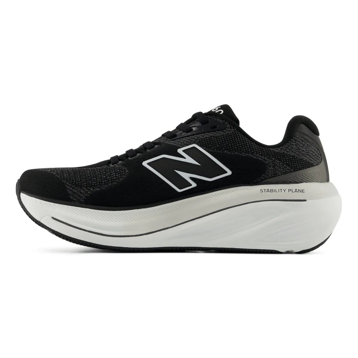 NEW BALANCE W W860 V15 (2E) BLACK/WHITE